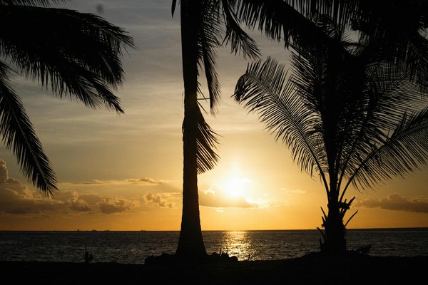 Quels sont les meilleurs itinéraires pour une randonnée en raquettes dans les montagnes de la Sierra Nevada, USA?